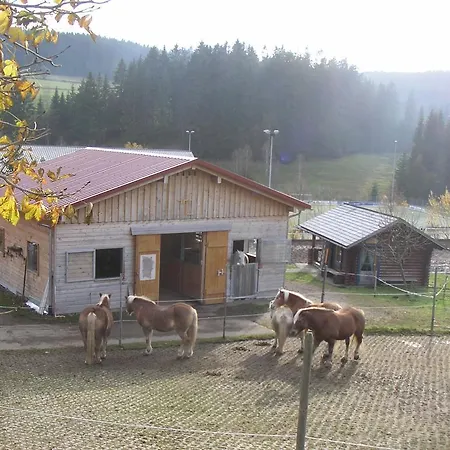 Schonachblick Apartment