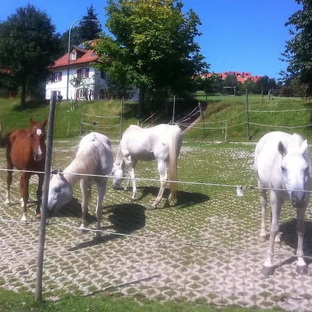 Schonachblick *