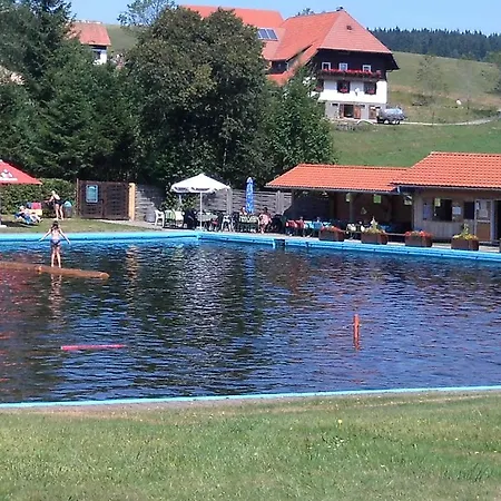 Schonachblick