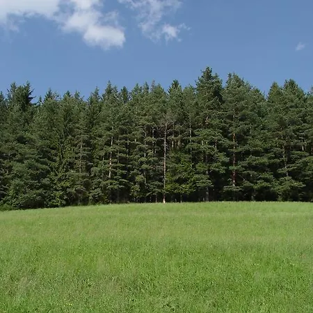 Schonachblick * Schonach im Schwarzwald