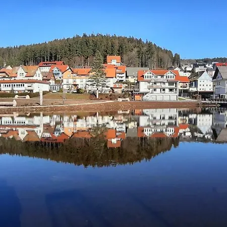 Schonachblick Schonach im Schwarzwald